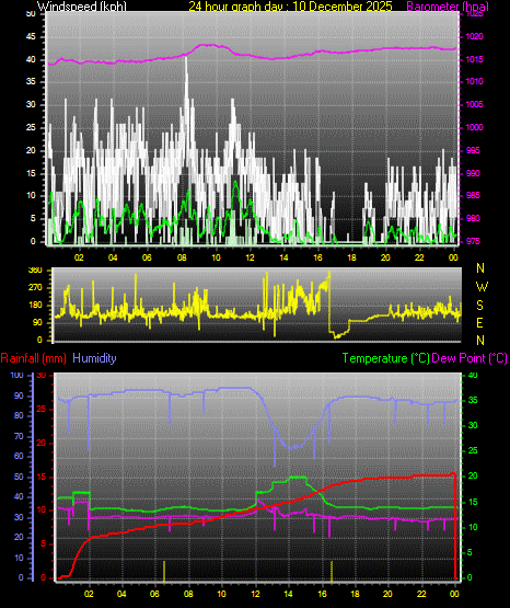 24 Hour Graph for Day 10