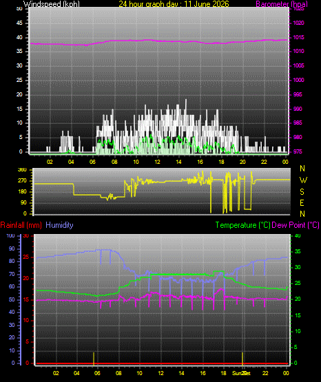 24 Hour Graph for Day 11